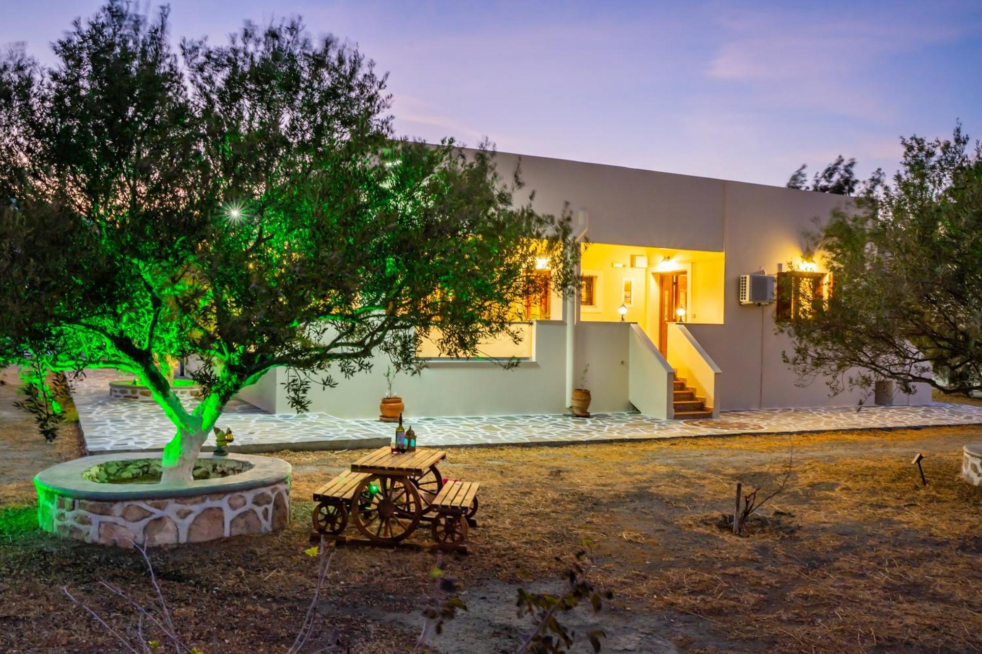 Olive Studios Karpathos Studio #4 Exterior photo